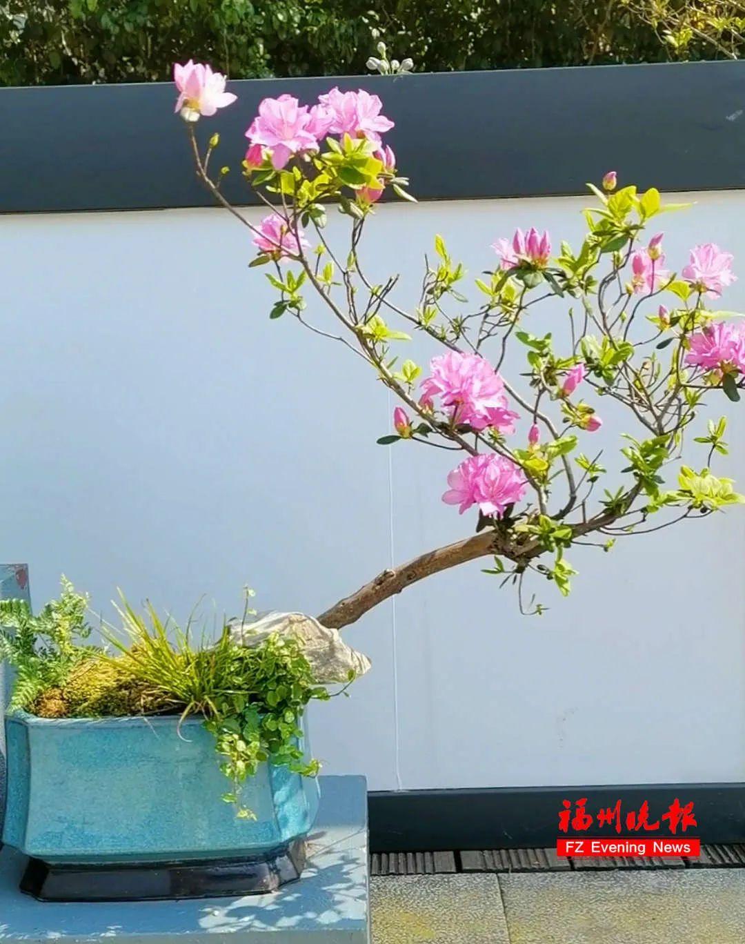打卡!打卡!福州这里太美了! 打卡!打卡!福州这里太美了!