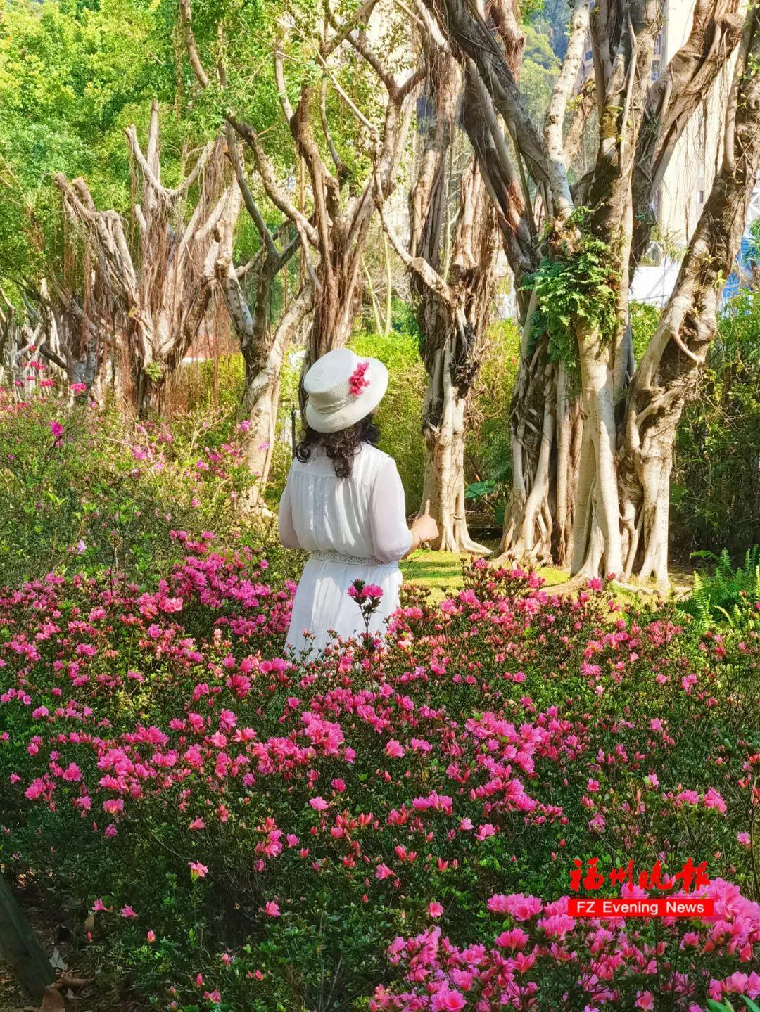 打卡!打卡!福州这里太美了! 打卡!打卡!福州这里太美了!