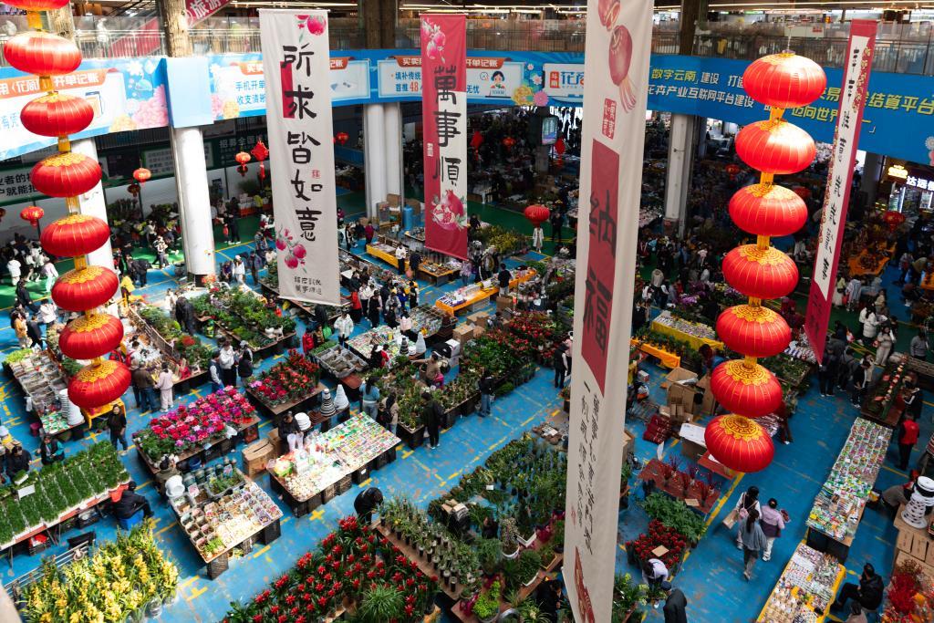 新闻多一点丨云南鲜花：“浪漫经济”美丽绽放