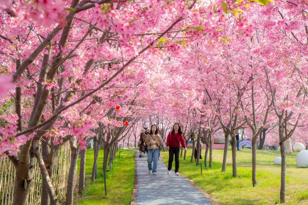 春分 | 生活恰如其分，美好恰逢其时