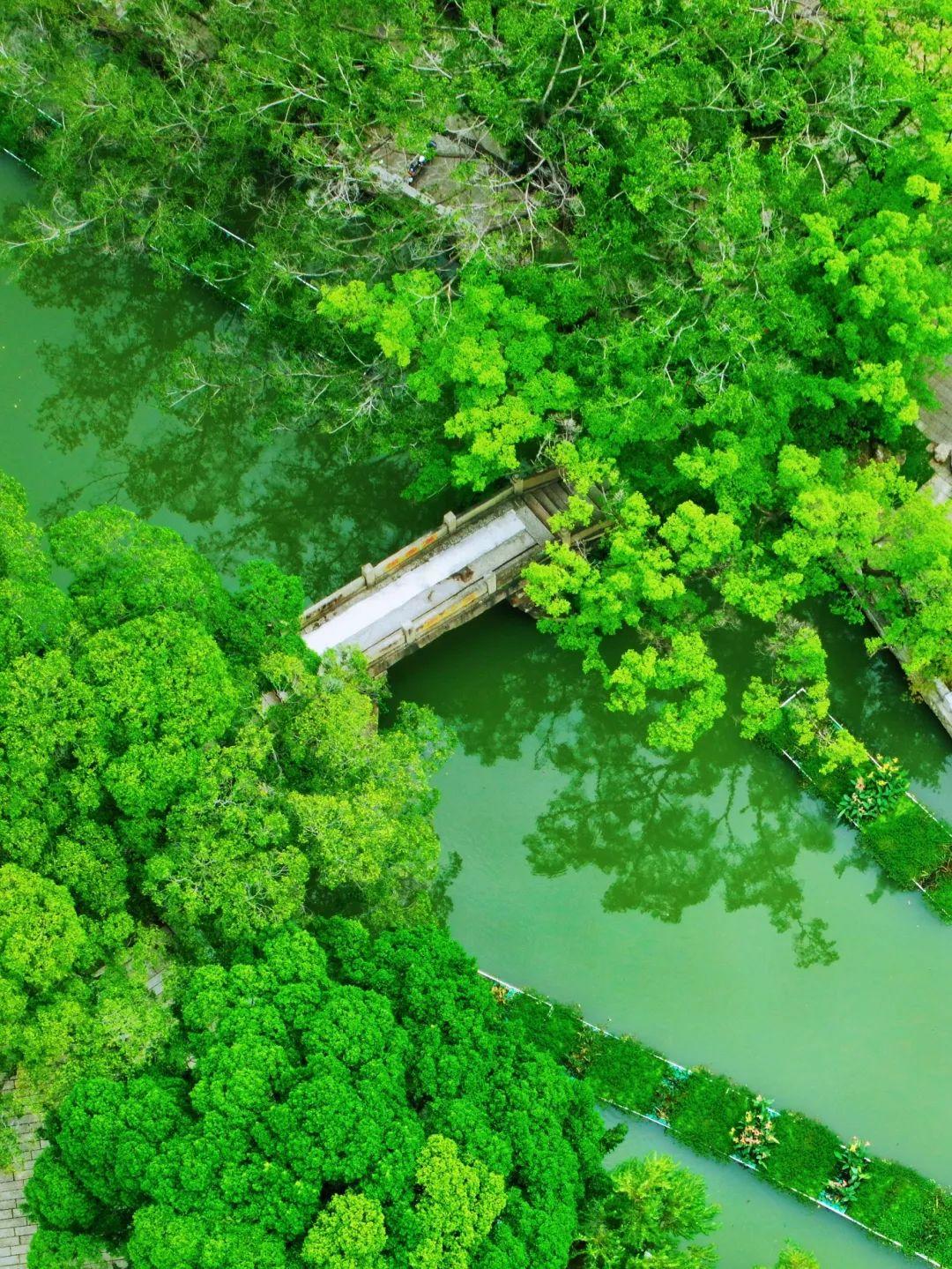 乘地铁游福州，泛舟悠游碧波上