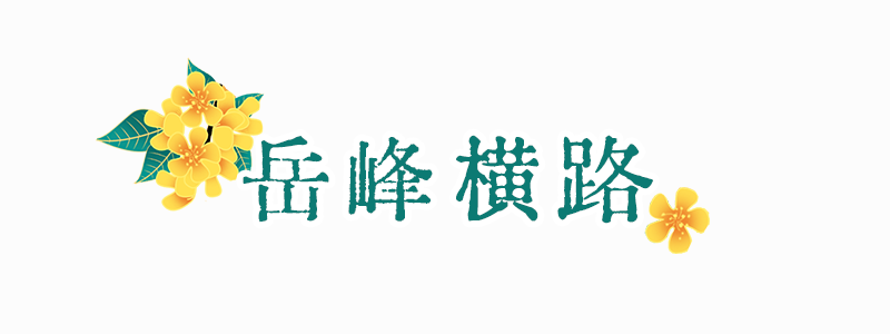 满城花开！“金”艳了福州的春天