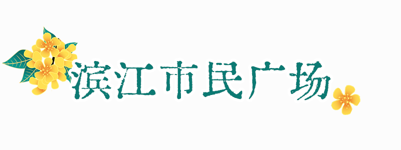 满城花开！“金”艳了福州的春天