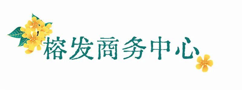 满城花开！“金”艳了福州的春天