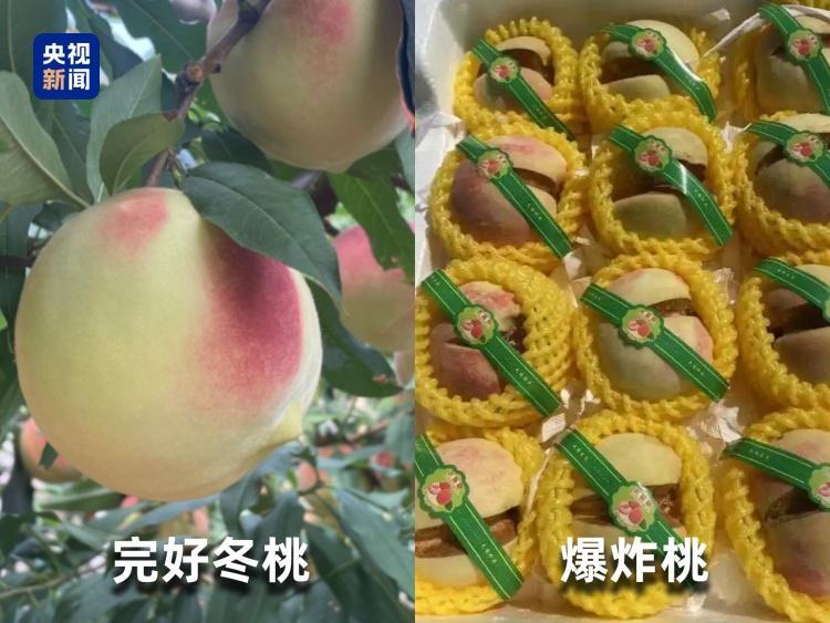 起底“水果骗局”！这些“智商税”水果要知道