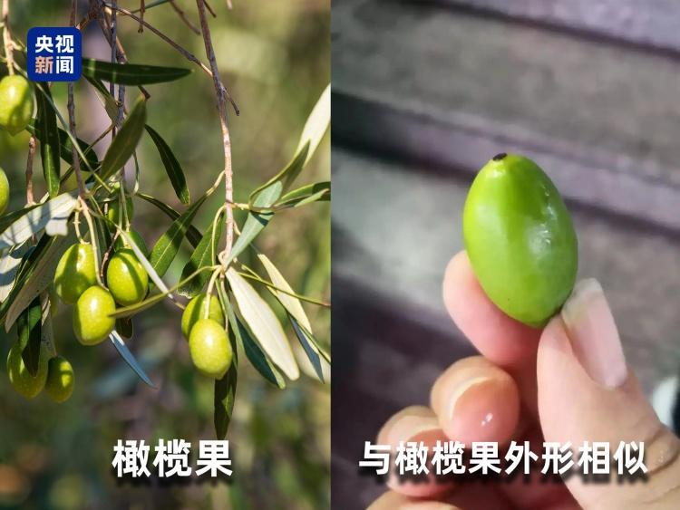 起底“水果骗局”！这些“智商税”水果要知道