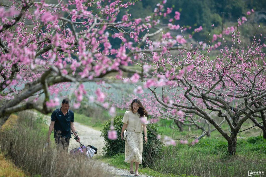 春色如画!福州这里藏着“世外桃源”! 春色如画!福州这里藏着“世外桃源”!