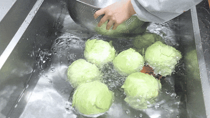 福建一高校食堂“包菜炒一切”？！原因竟是……