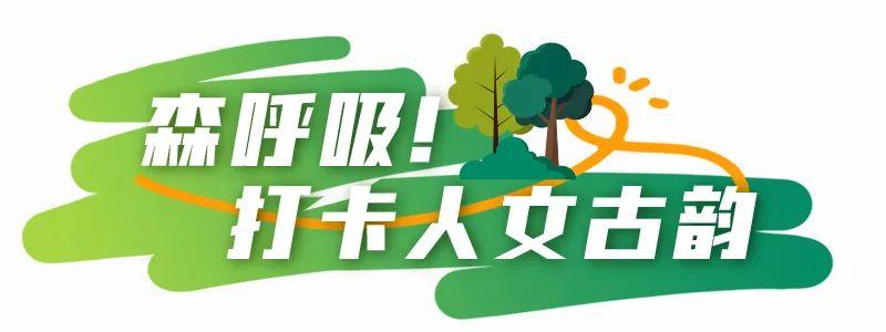 前方到站“Darling”，一起解锁街头浪漫