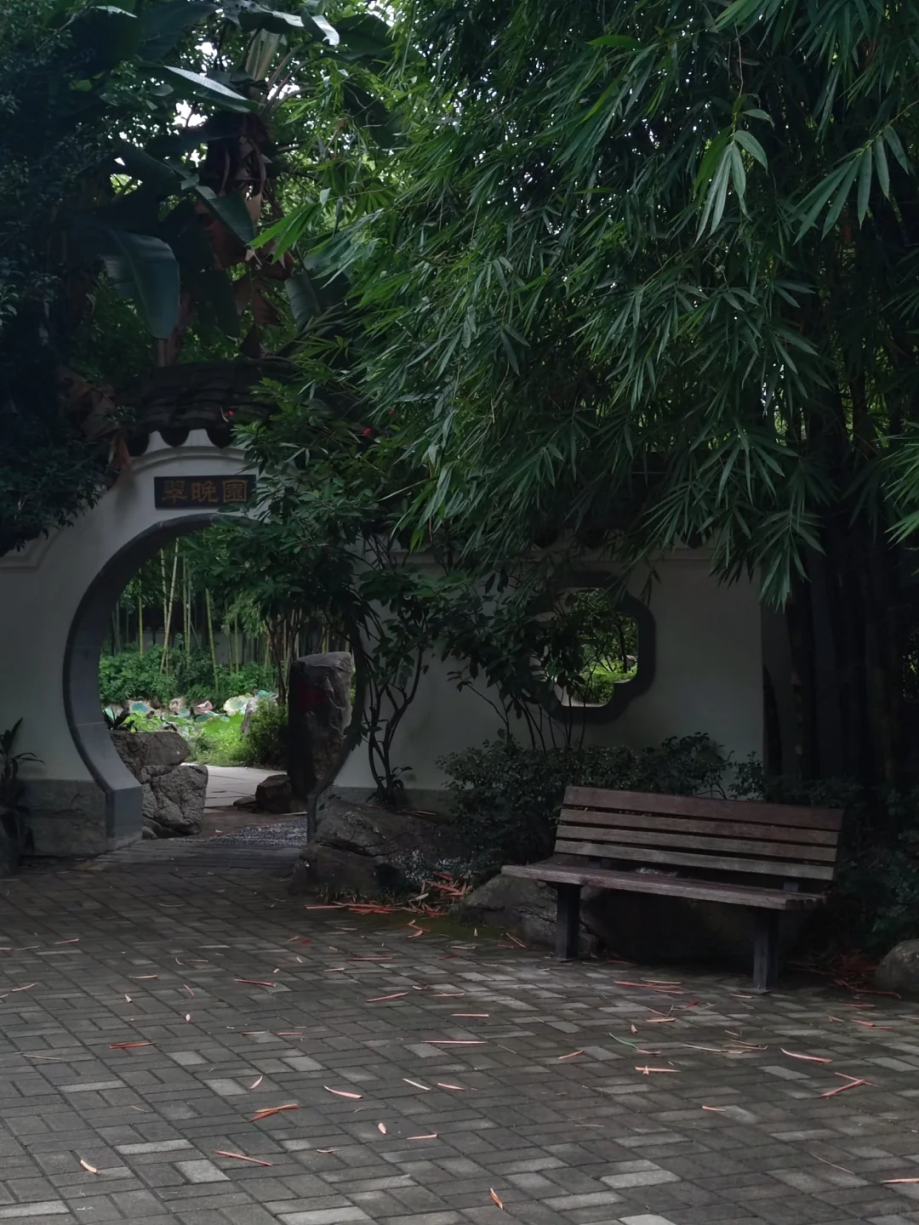 前方到站“Darling”，一起解锁街头浪漫