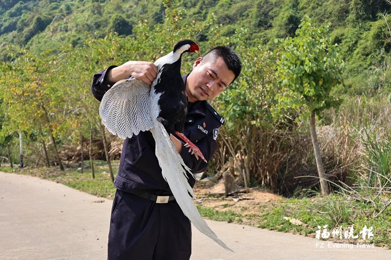 “怪鸟”进小区 貌美却凶悍