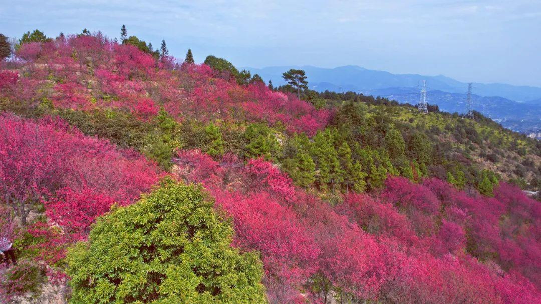 听·见闽清 | 钟石山之春韵