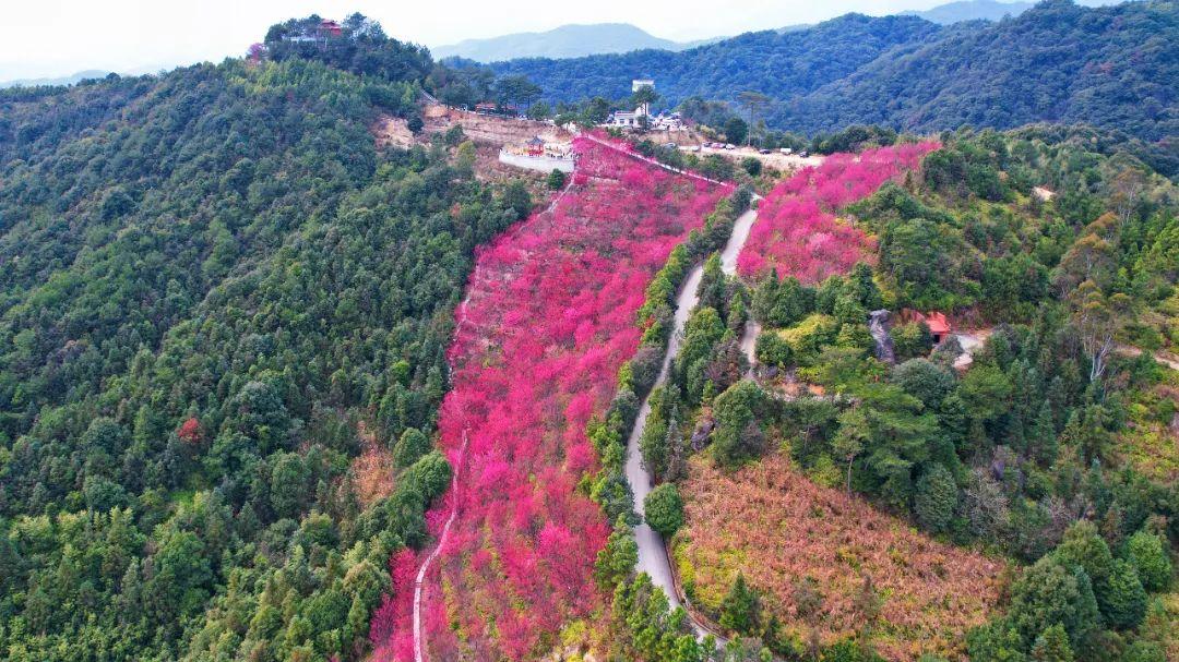 听·见闽清 | 钟石山之春韵