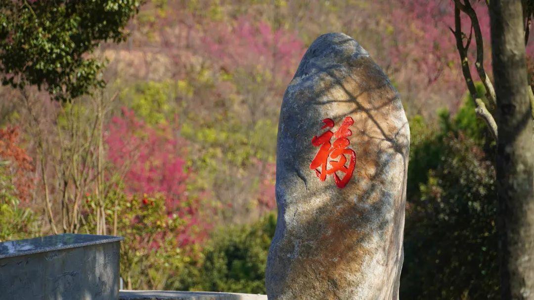 听·见闽清 | 钟石山之春韵