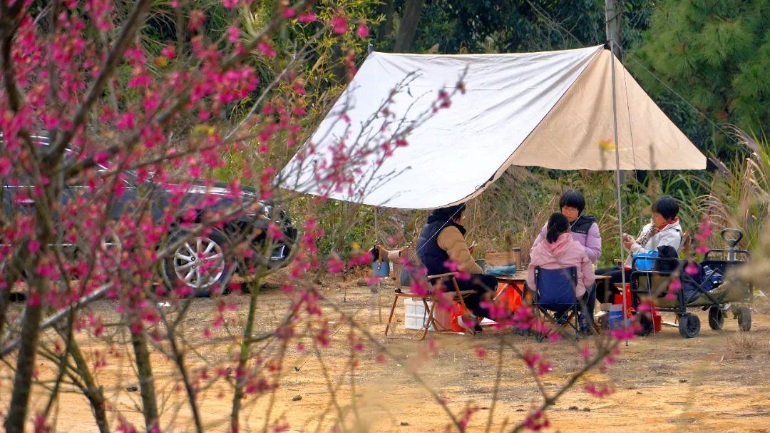 听·见闽清 | 钟石山之春韵