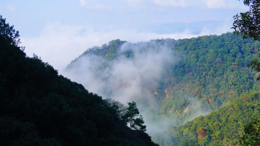 听·见闽清 | 钟石山之春韵