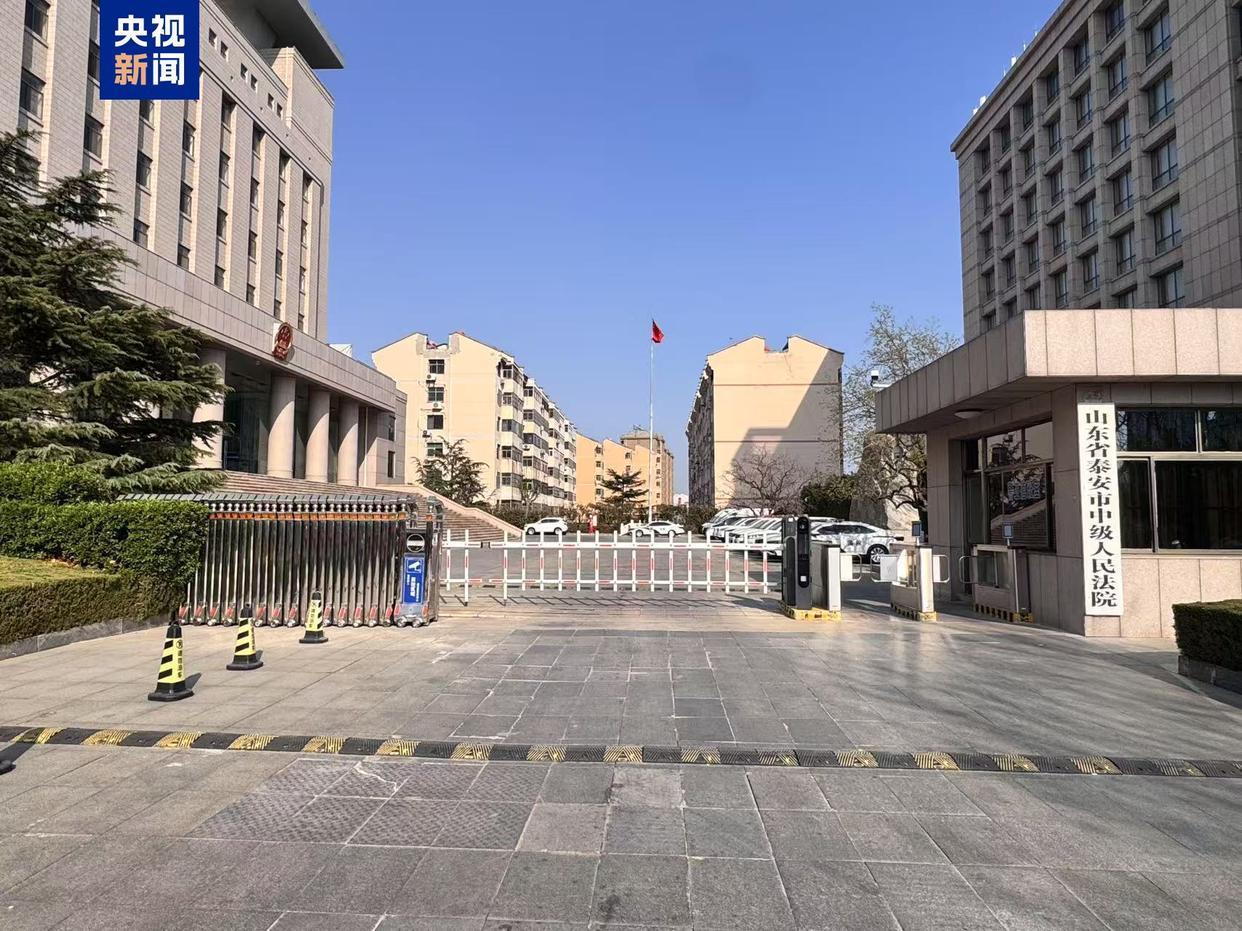 山东泰安：“入室抢婴贩卖案”将于2日开庭审理