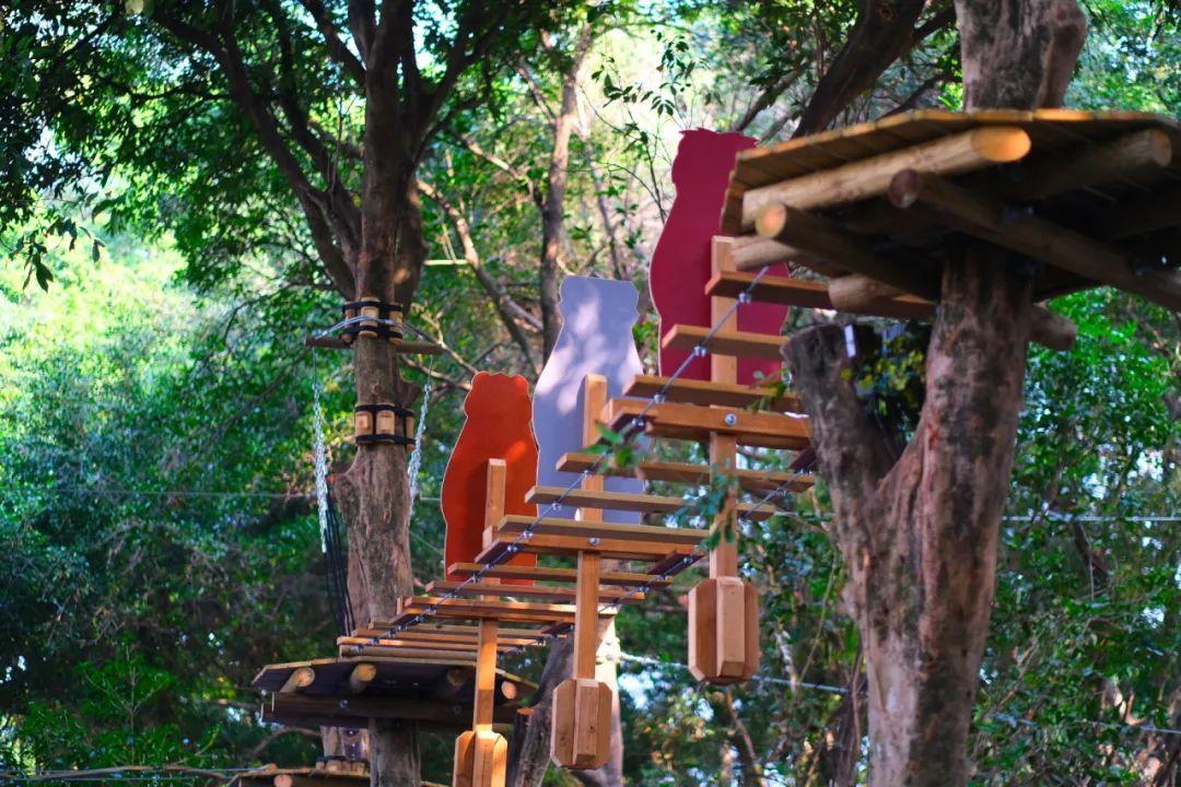 全国第7座！开园！等你探险！