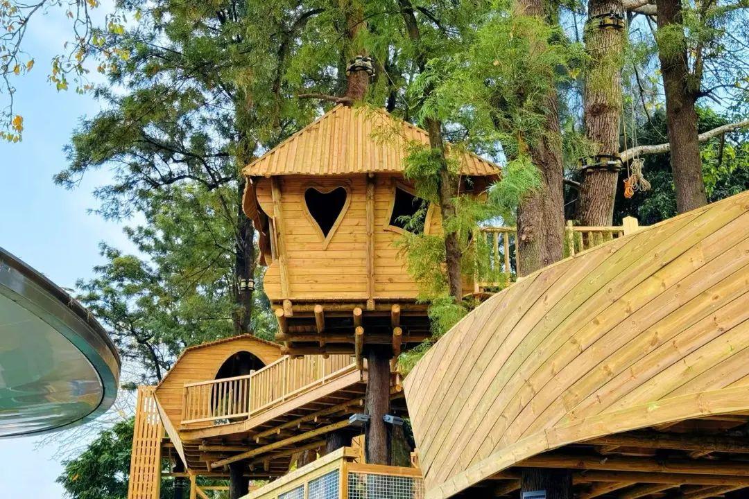 全国第7座!开园!等你探险! 全国第7座!开园!等你探险!