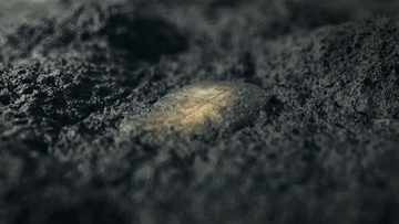 跟着总书记领略中华文明｜穿越时光的力量