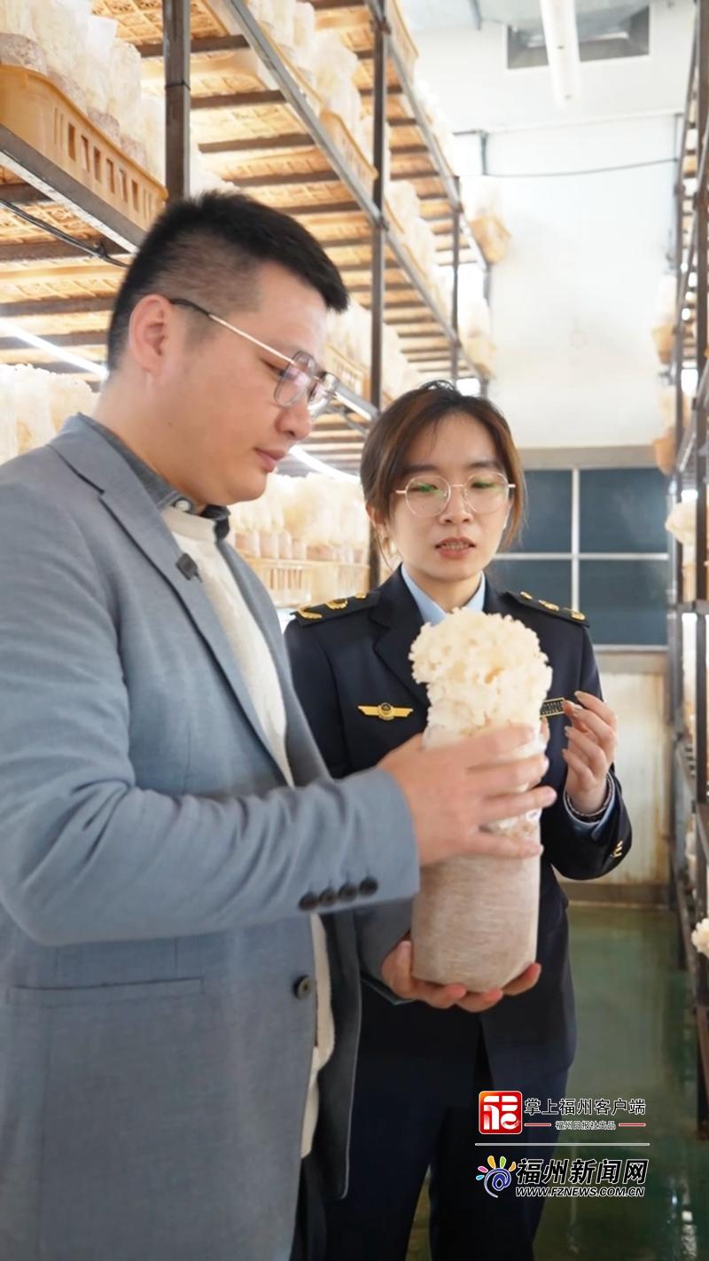 创新引擎·市监赋能丨市市场监管局走进企业，揭秘绣球菌“生产密码”