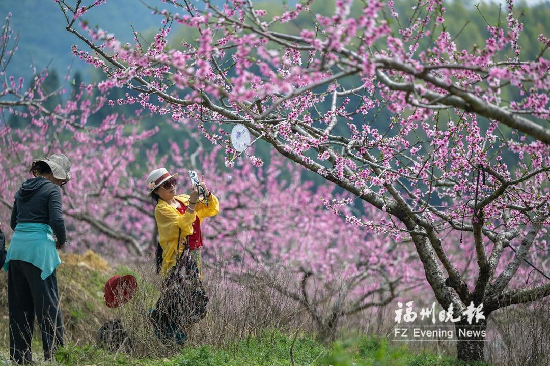 福州春景上新，畅游线路请收好！