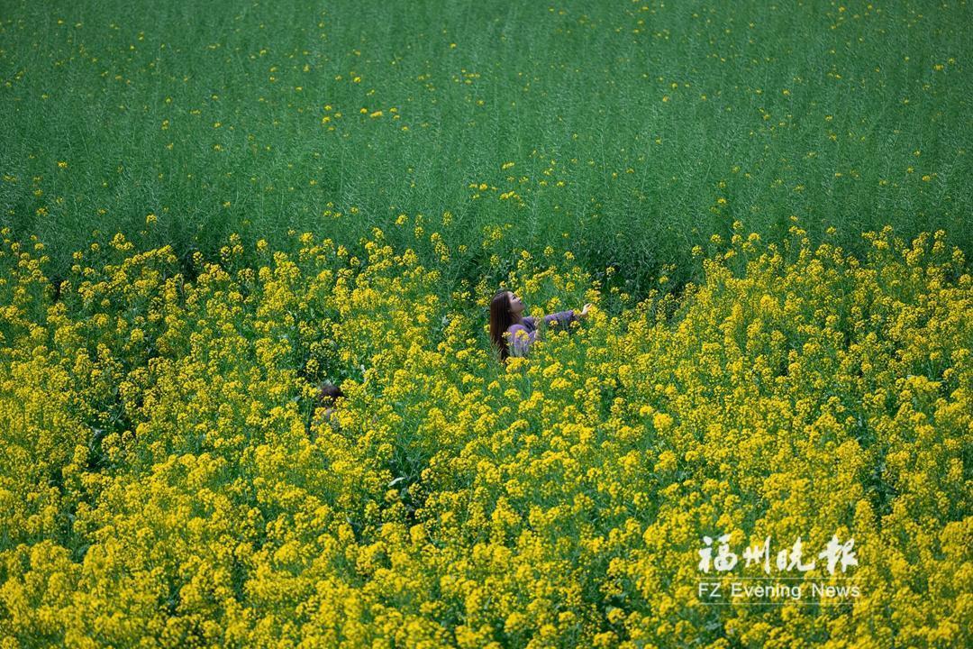 福州春景上新，畅游线路请收好！