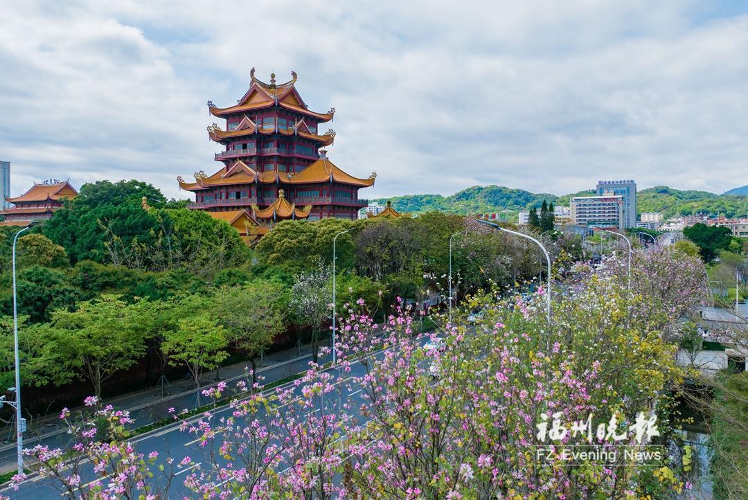 福州春景上新，畅游线路请收好！