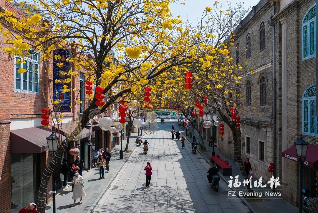 福州春景上新，畅游线路请收好！