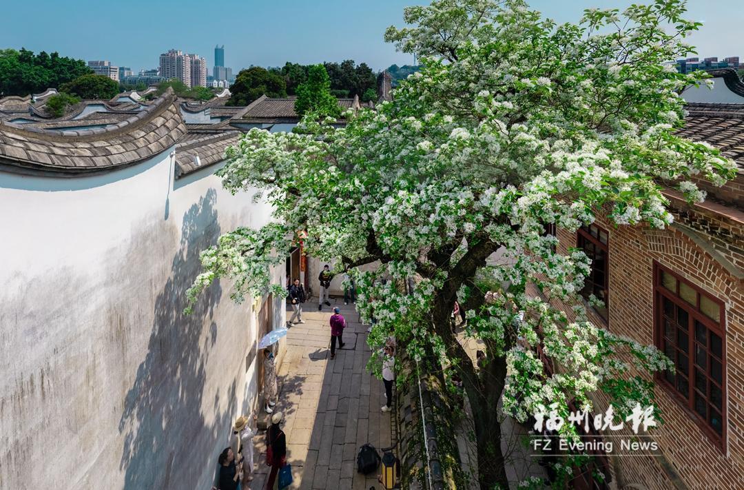 福州春景上新，畅游线路请收好！