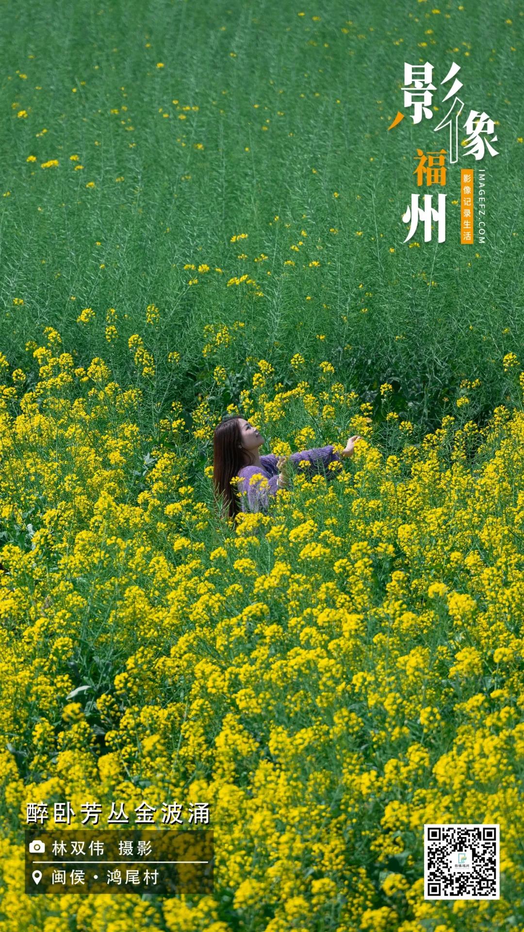 影像福州｜醉卧芳丛金波涌