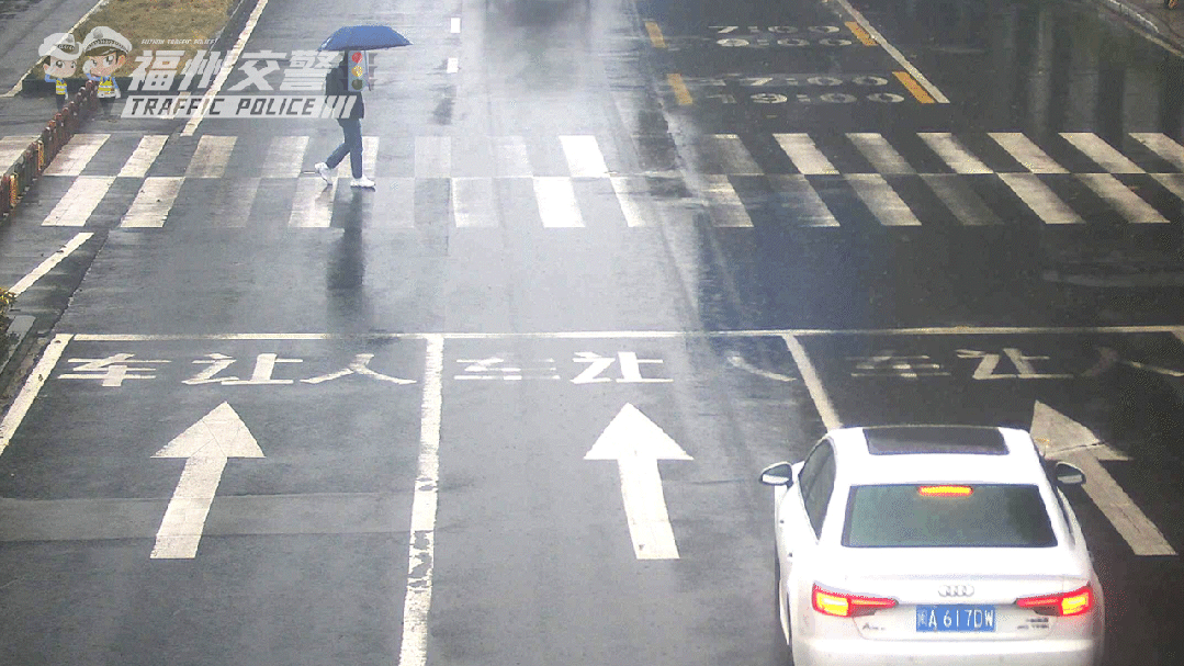 就在福州市区，这些车辆在斑马线前被抓拍！