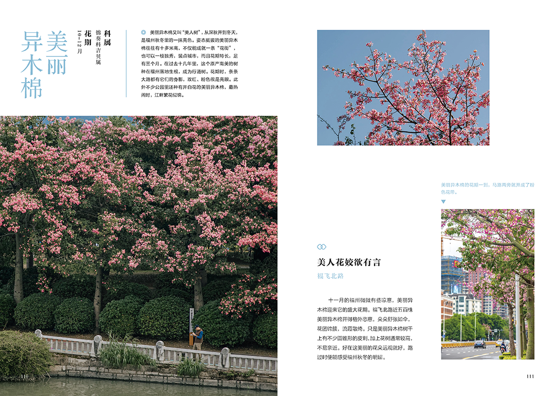 《花木里的福州》，开启福州四季之旅