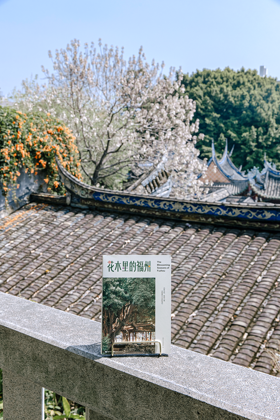 《花木里的福州》，开启福州四季之旅