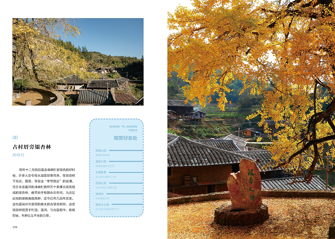 《花木里的福州》，开启福州四季之旅