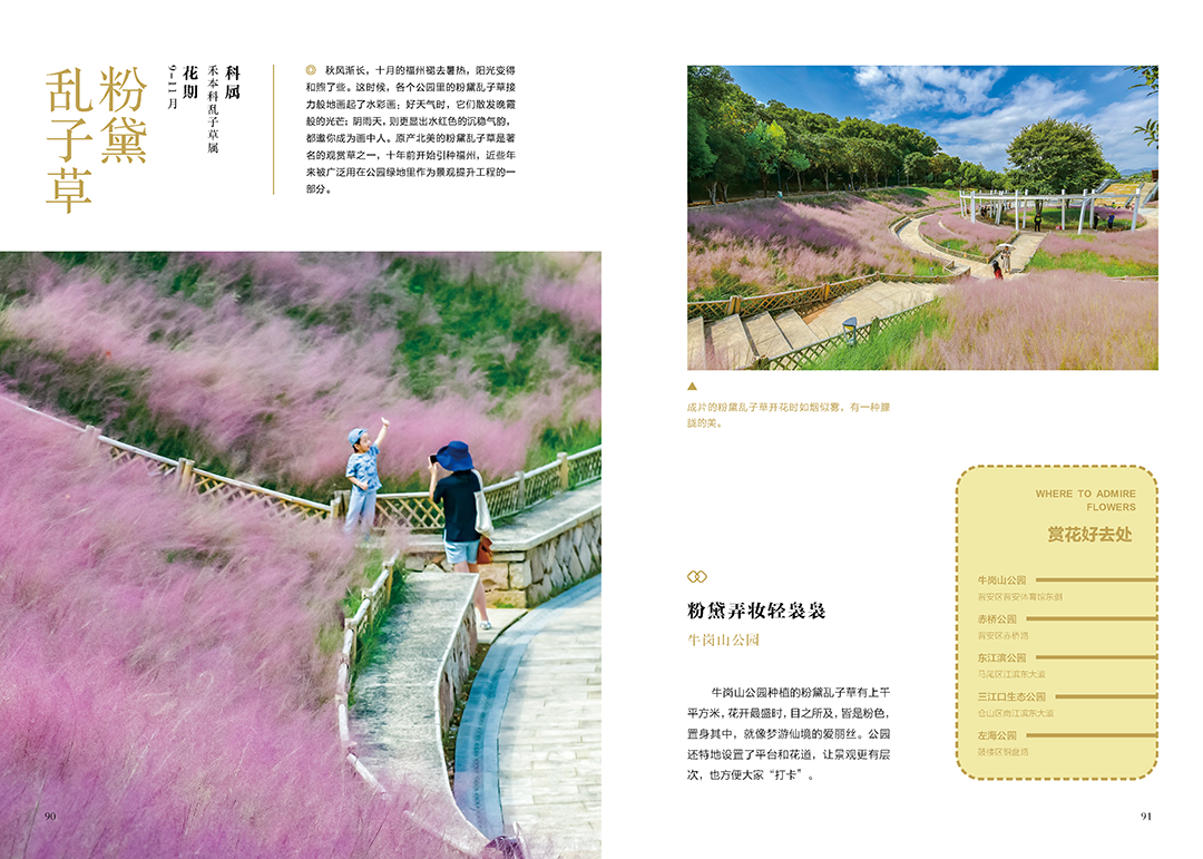 《花木里的福州》，开启福州四季之旅
