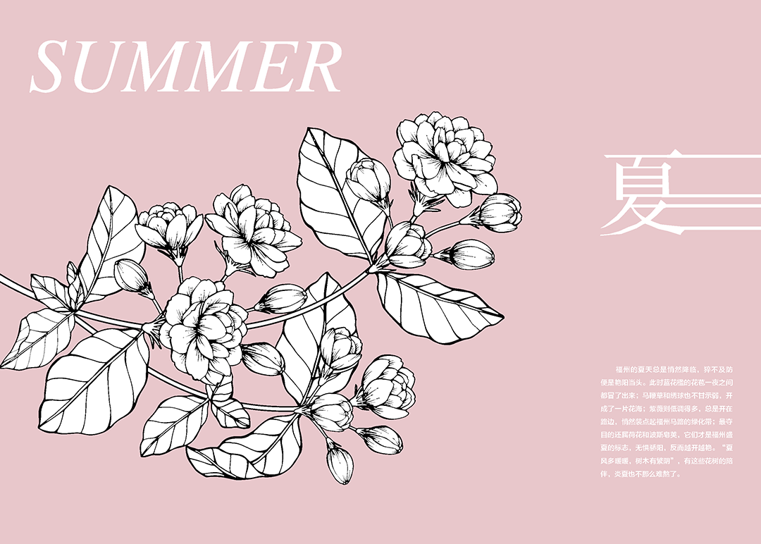 《花木里的福州》，开启福州四季之旅