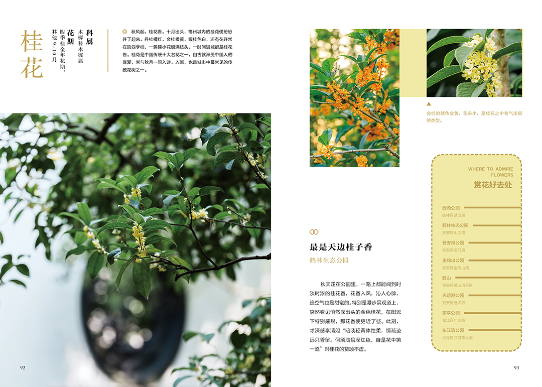 《花木里的福州》，开启福州四季之旅