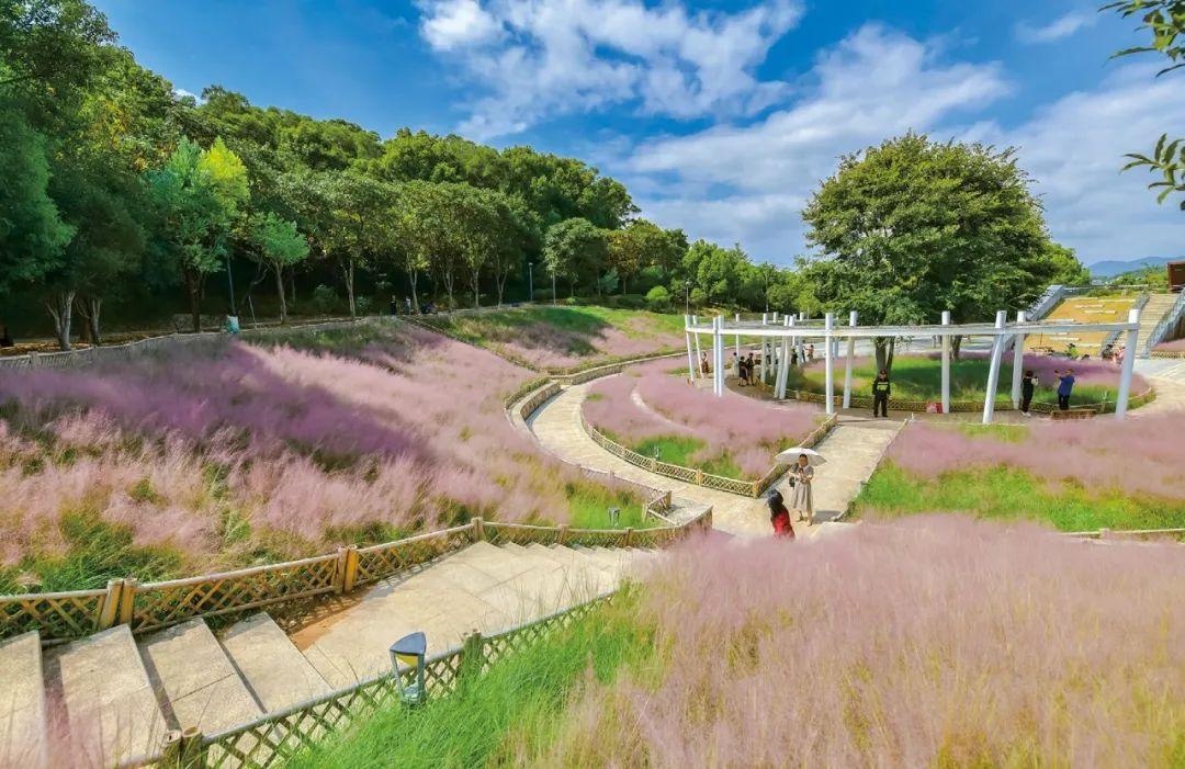 《花木里的福州》，开启福州四季之旅