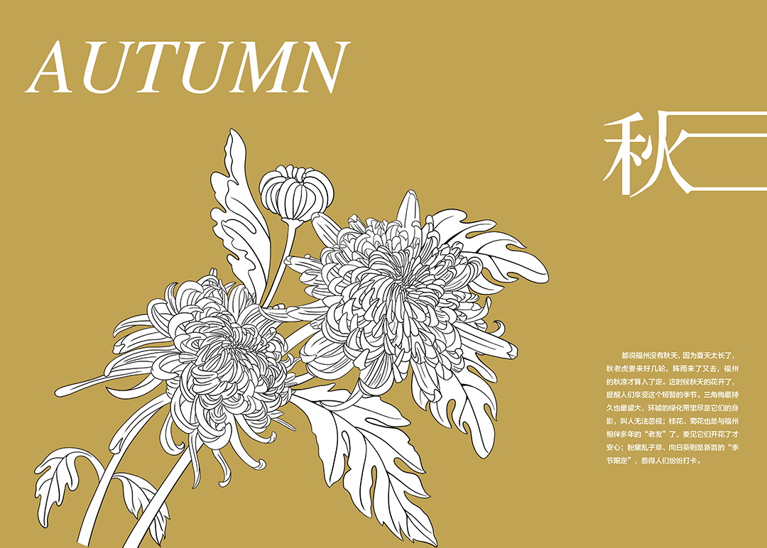 《花木里的福州》，开启福州四季之旅