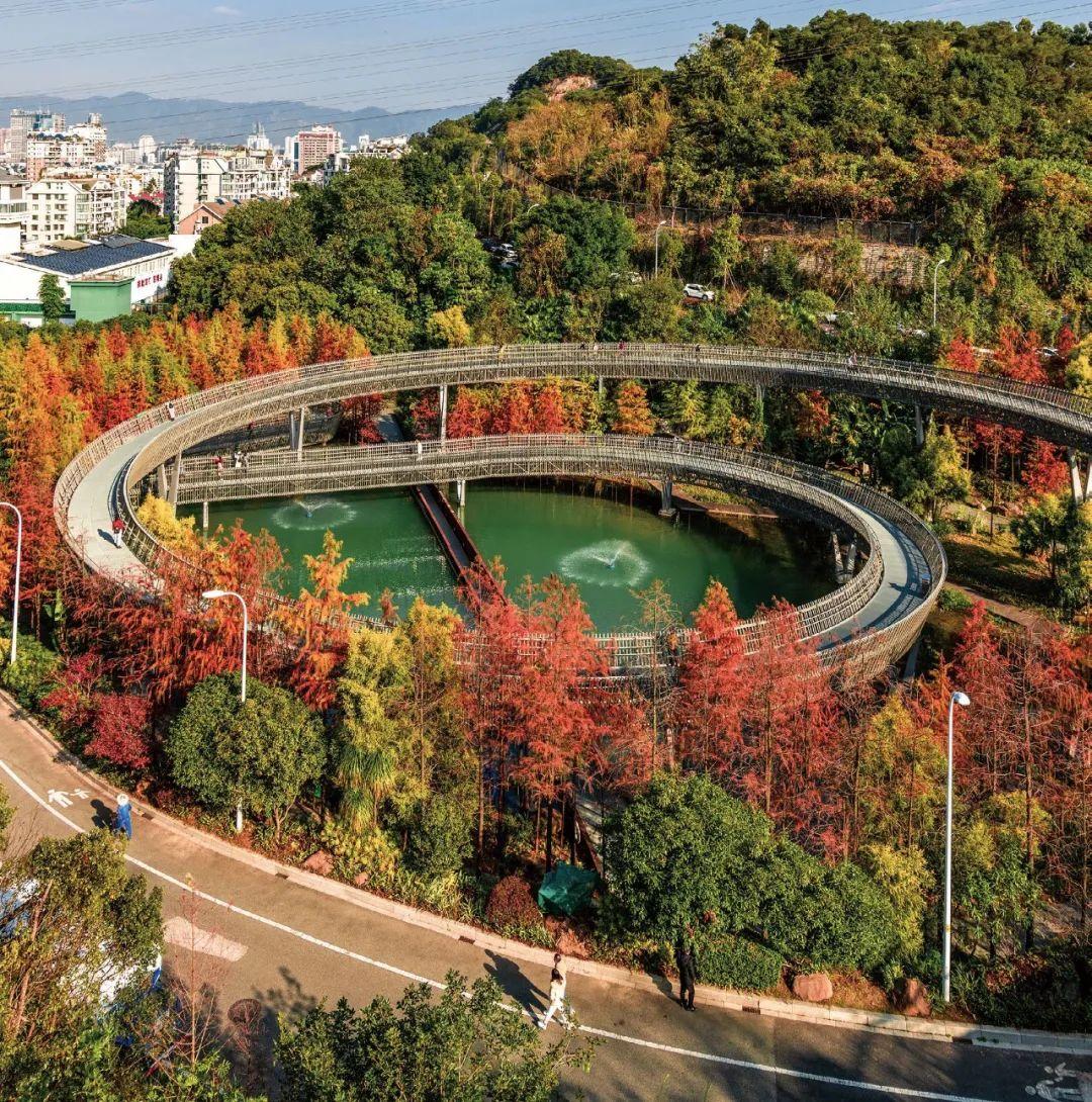 《花木里的福州》，开启福州四季之旅