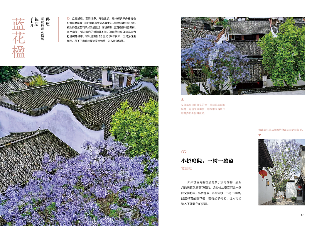 《花木里的福州》，开启福州四季之旅