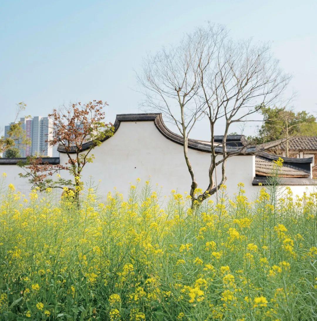 《花木里的福州》，开启福州四季之旅