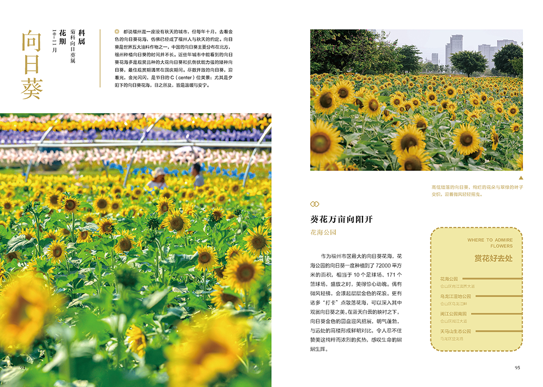 《花木里的福州》，开启福州四季之旅