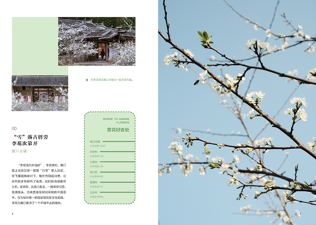 《花木里的福州》，开启福州四季之旅