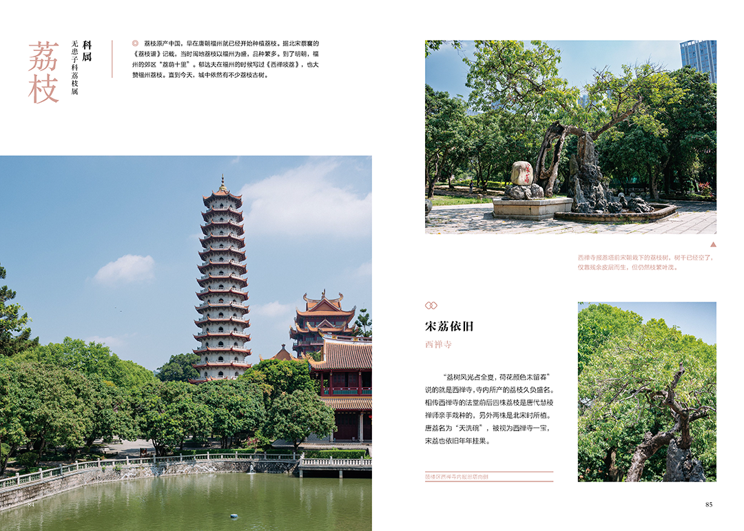 《花木里的福州》，开启福州四季之旅