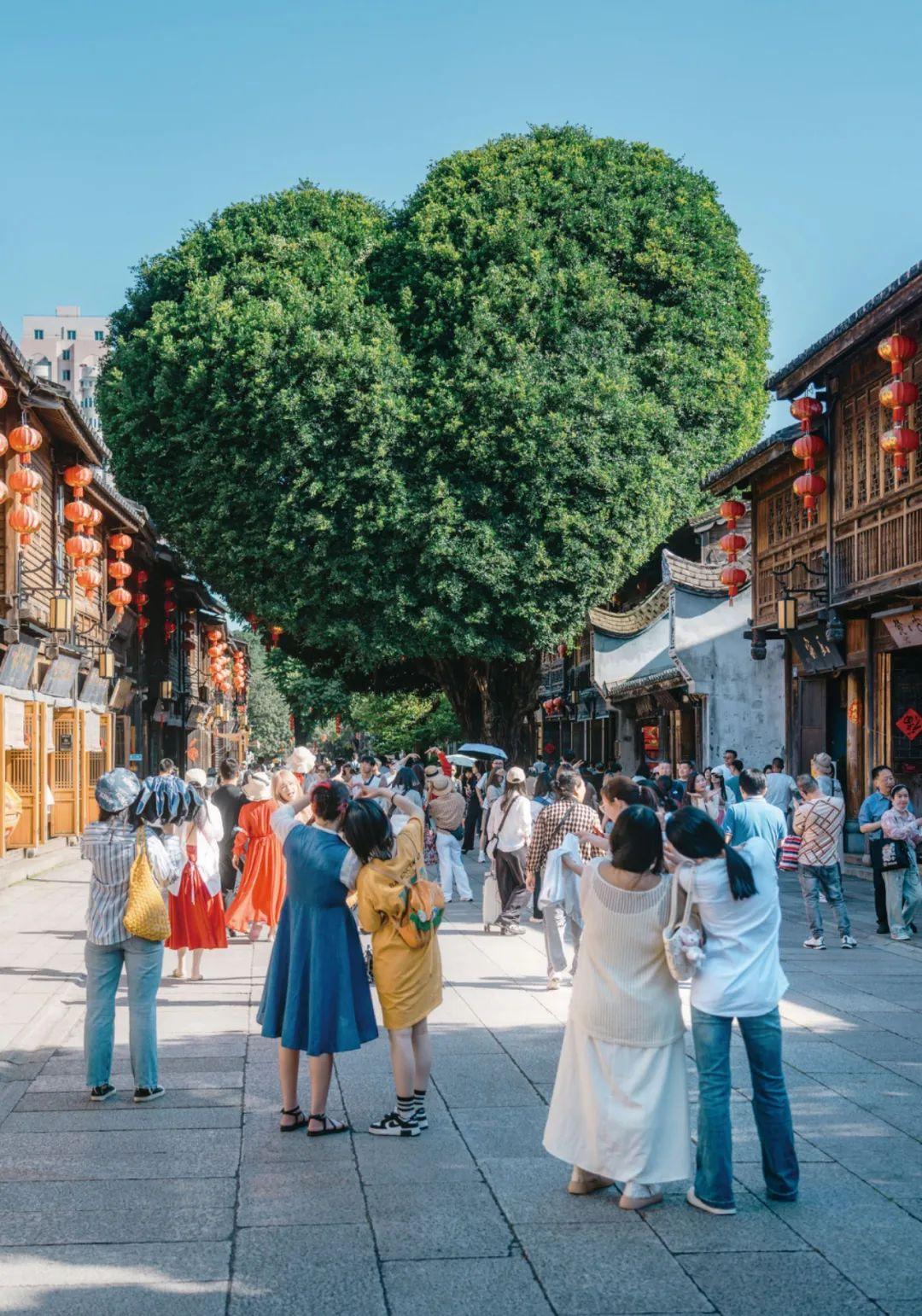 《花木里的福州》，开启福州四季之旅