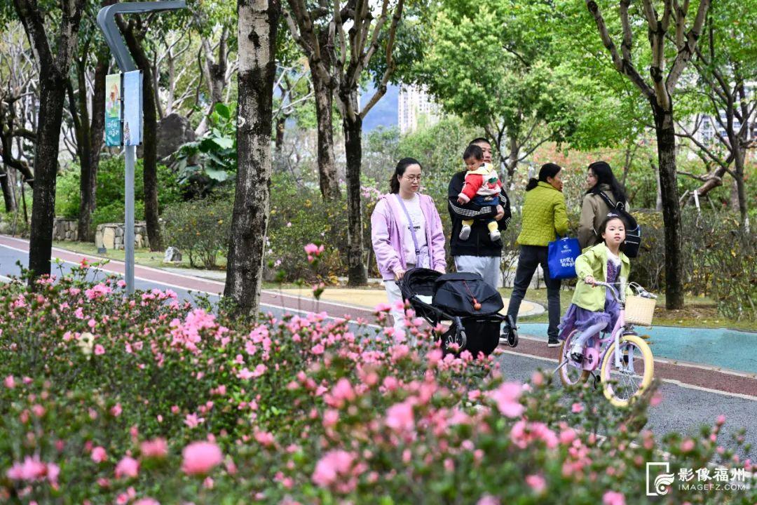 3万株！迎来最佳观赏期！