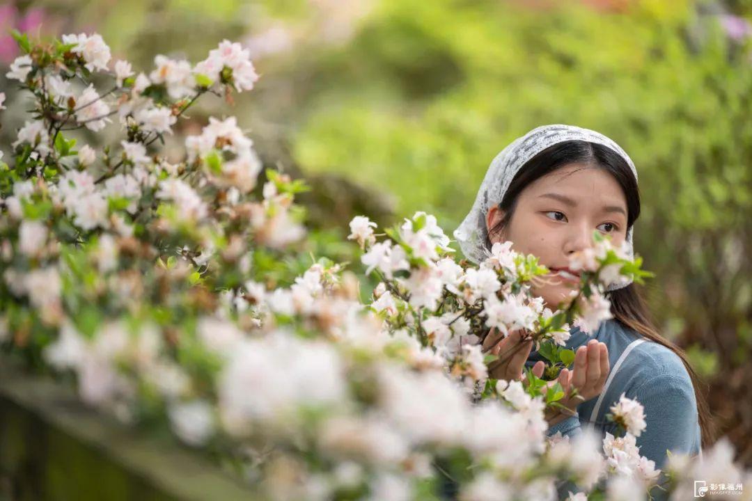 3万株！迎来最佳观赏期！
