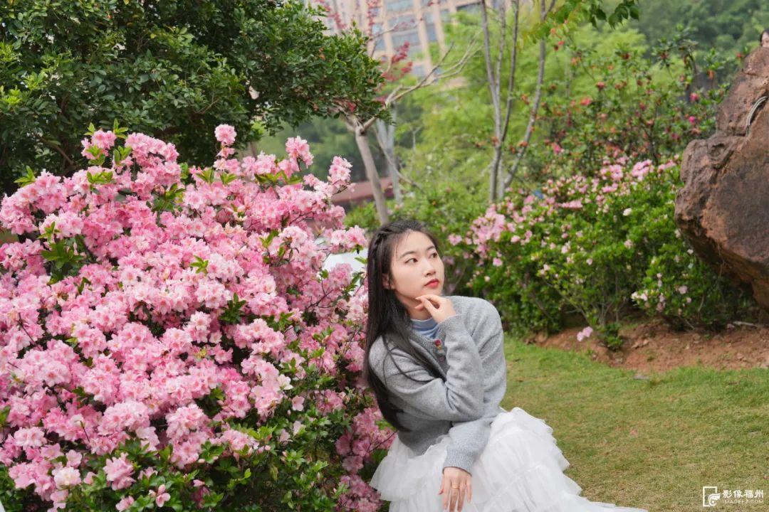 3万株！迎来最佳观赏期！